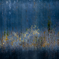 Emerging Spring-Light Space Time Open Call Honorable Mention
