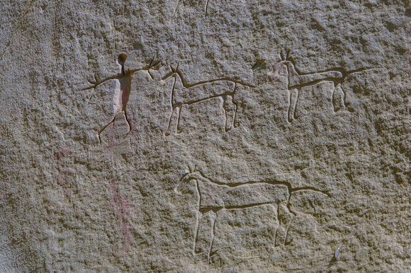 petroglyph, Writing-on-Stone Provincial Park,  Áísínaiʼpi National Historic Site